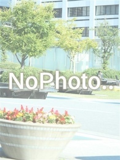 NEW FACE【あこ】